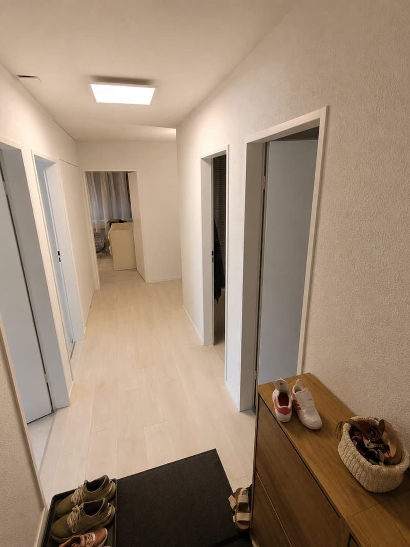 Appartamento luminoso 4.5 locali con balcone in una zona tranquilla Adliswil (5)