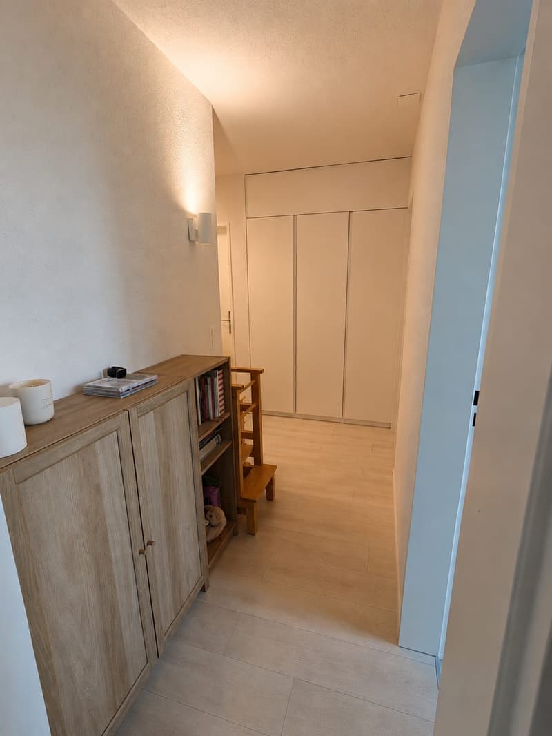 Appartamento luminoso 4.5 locali con balcone in una zona tranquilla Adliswil (4)