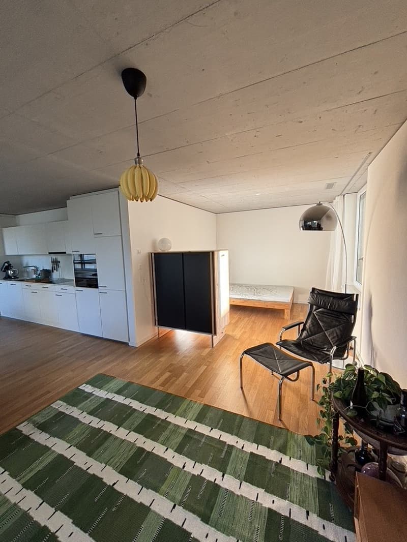 Modern loft apartment in the Labitzke area (5)