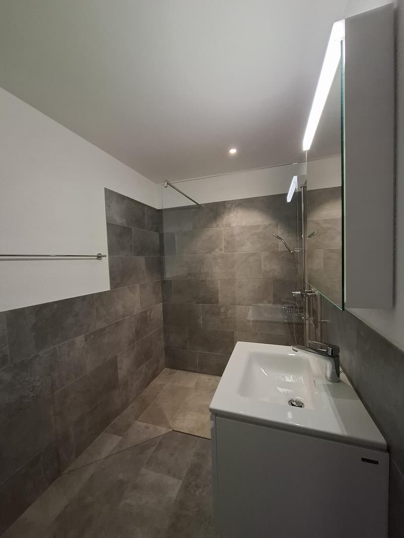 2 ½ rooms apartment, 5072 Oeschgen (3)