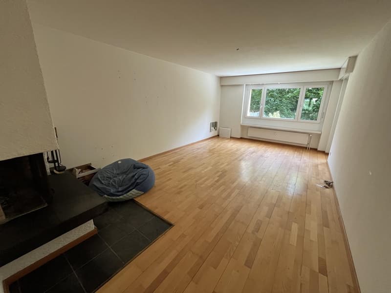 Ampio appartamento di 4.5 locali a Zürich-Affoltern con giardino privato (5)