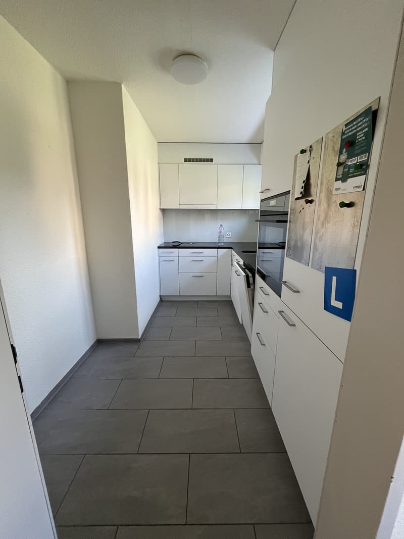 Ampio appartamento di 4.5 locali a Zürich-Affoltern con giardino privato (9)
