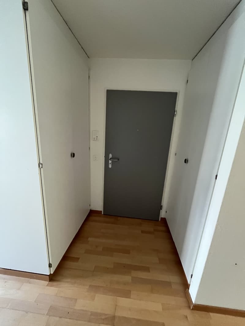 Ampio appartamento di 4.5 locali a Zürich-Affoltern con giardino privato (13)
