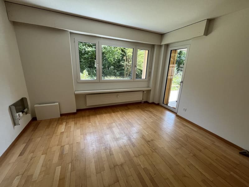 Ampio appartamento di 4.5 locali a Zürich-Affoltern con giardino privato (4)