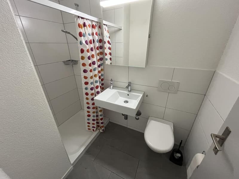 Ampio appartamento di 4.5 locali a Zürich-Affoltern con giardino privato (7)