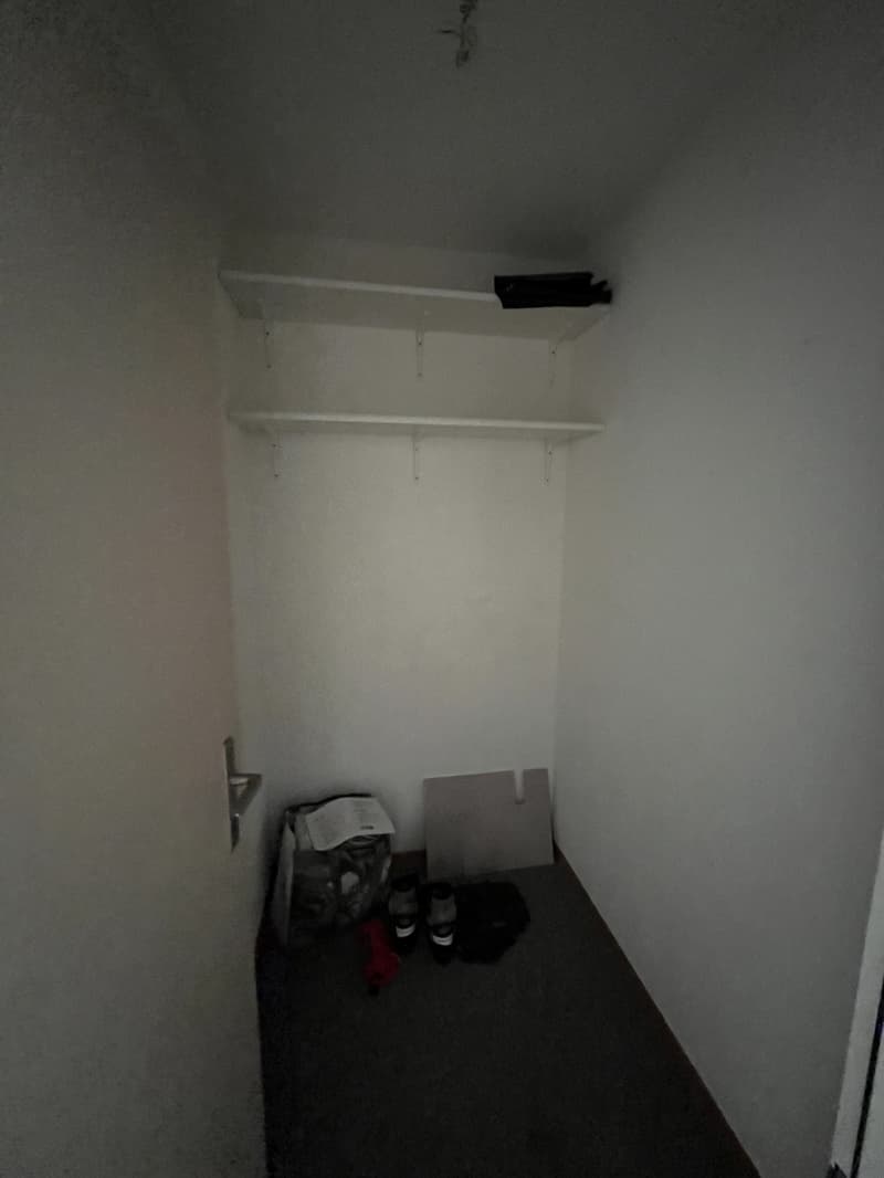 Ampio appartamento di 4.5 locali a Zürich-Affoltern con giardino privato (12)