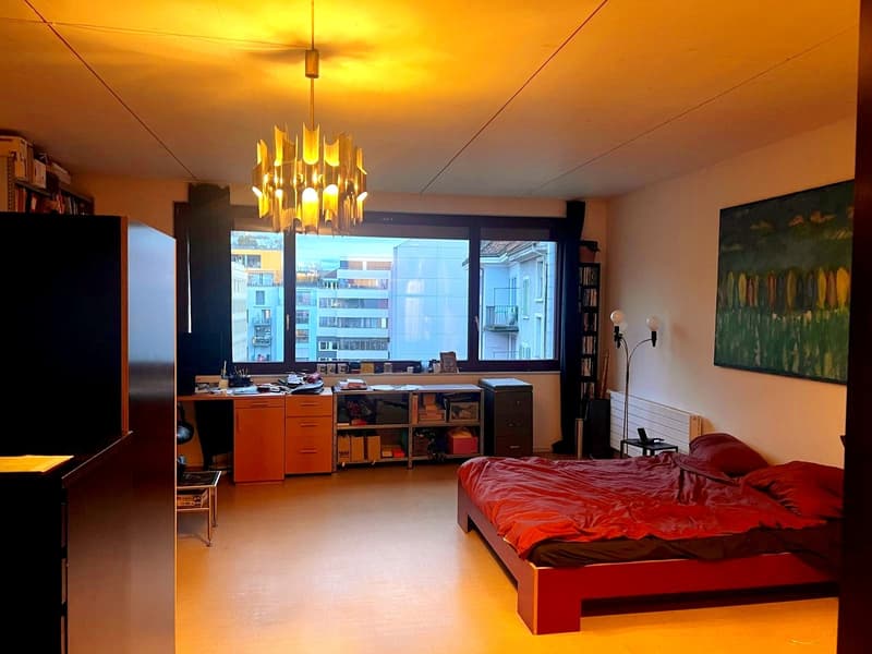 Ampia camera da 35 m² con bagno privato in appartamento in condivisione di lusso (Langstrasse, Zürich) (3)