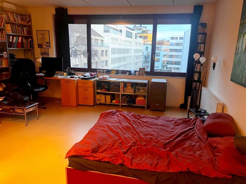 Ampia camera da 35 m² con bagno privato in appartamento in condivisione di lusso (Langstrasse, Zürich) (4)