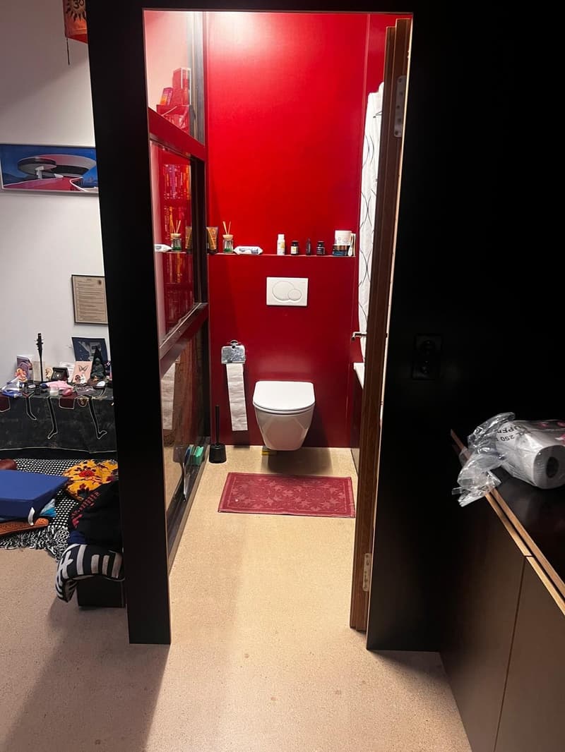 Ampia camera da 35 m² con bagno privato in appartamento in condivisione di lusso (Langstrasse, Zürich) (6)