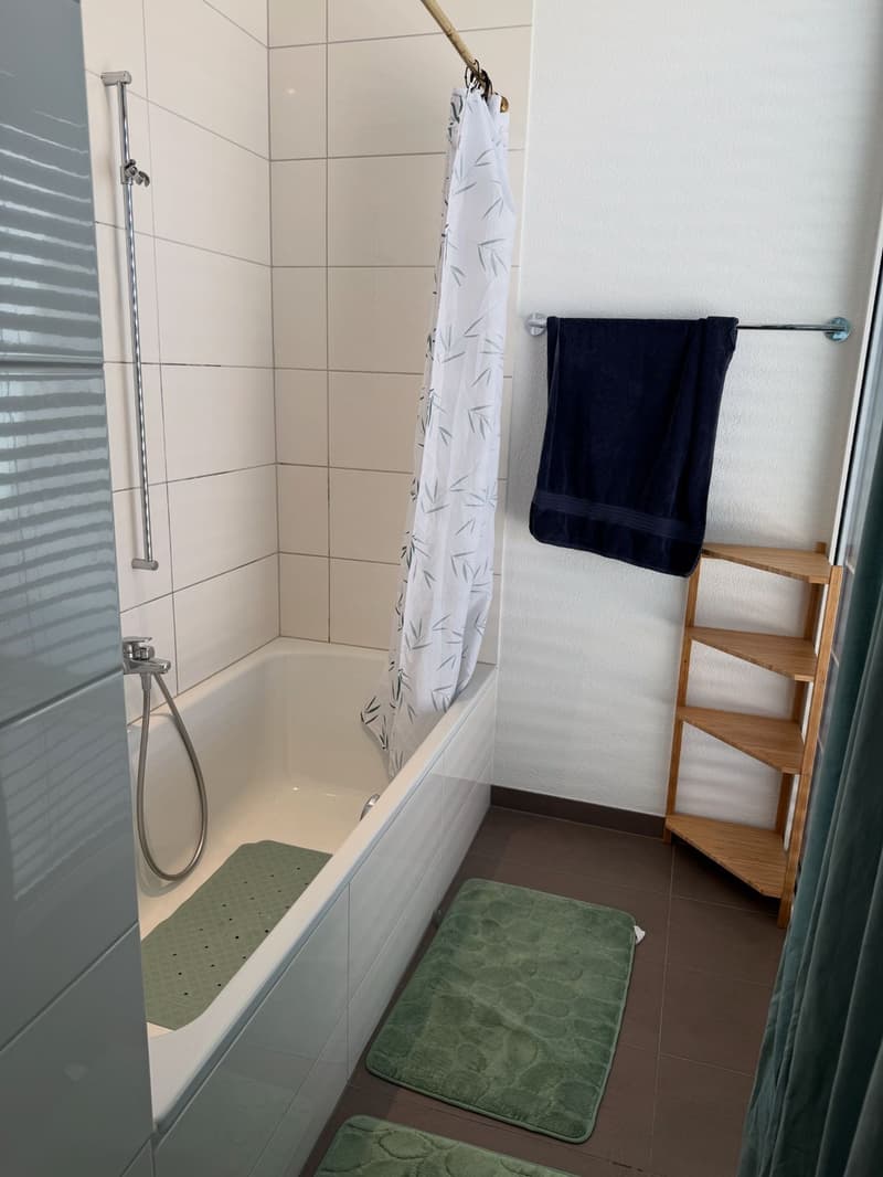 Nachmieter für Attikawohnig in Windisch per 01.09.2026 gesucht! (11)