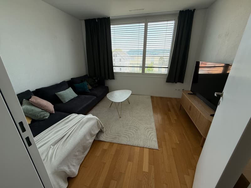 Nachmieter für Attikawohnig in Windisch per 01.09.2026 gesucht! (6)