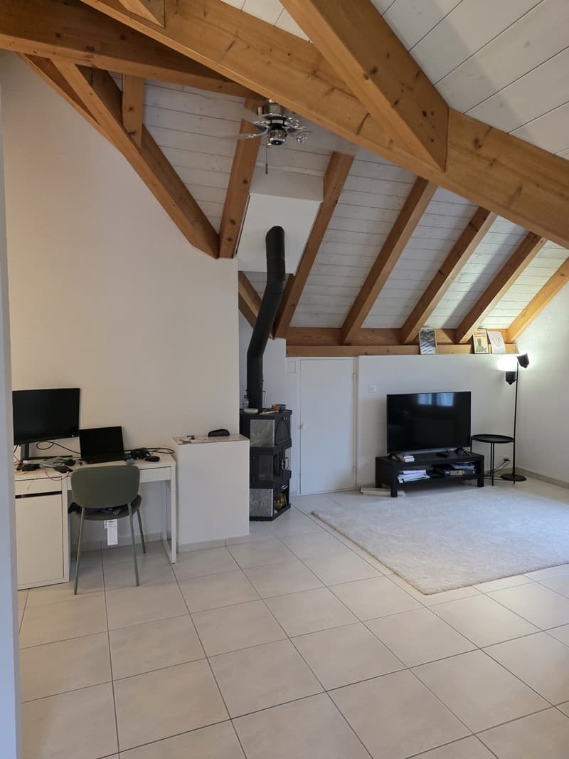 2.5-Room Apartment in Adliswil - 2.5-Zimmer-Wohnung (2)