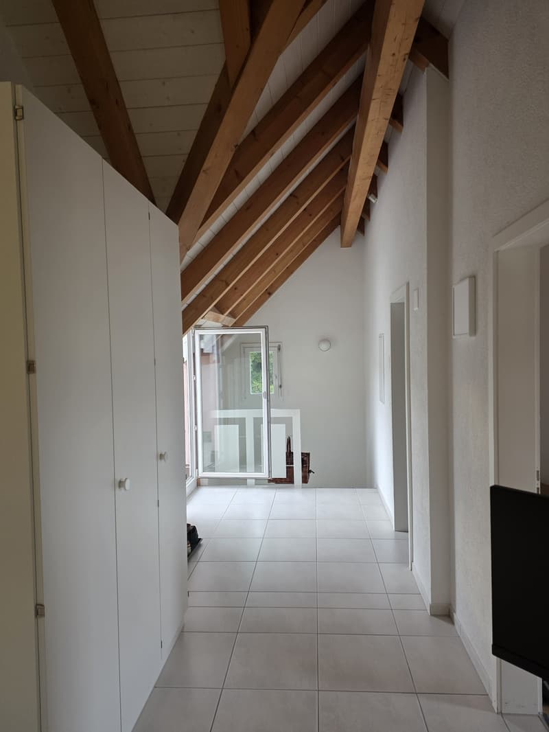2.5-Room Apartment in Adliswil - 2.5-Zimmer-Wohnung (3)