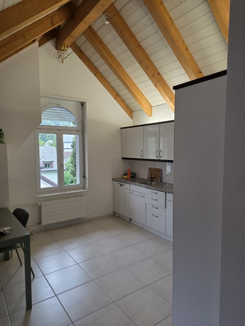 2.5-Room Apartment in Adliswil - 2.5-Zimmer-Wohnung (5)