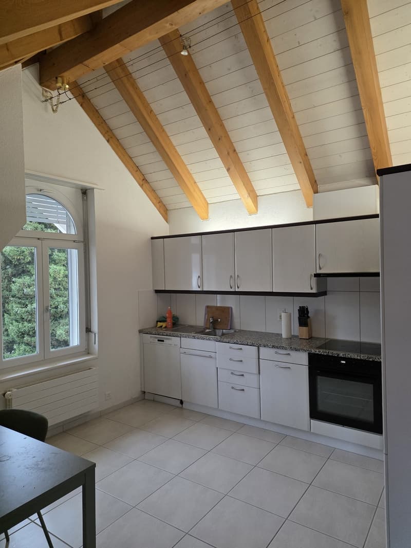 2.5-Room Apartment in Adliswil - 2.5-Zimmer-Wohnung (6)