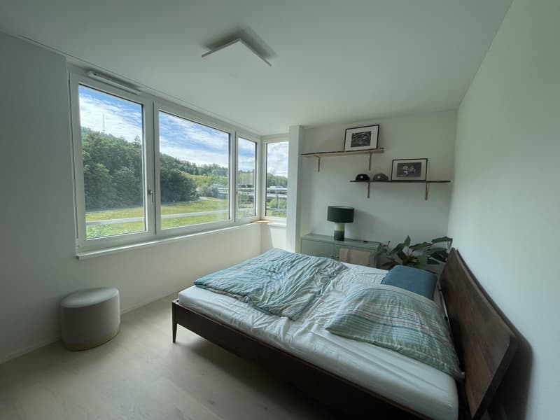 Furnished apartment, until end of march (at least) (10)