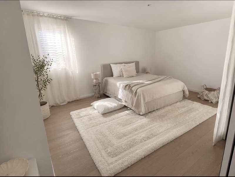Bel appartement 3,5 pièces (10)