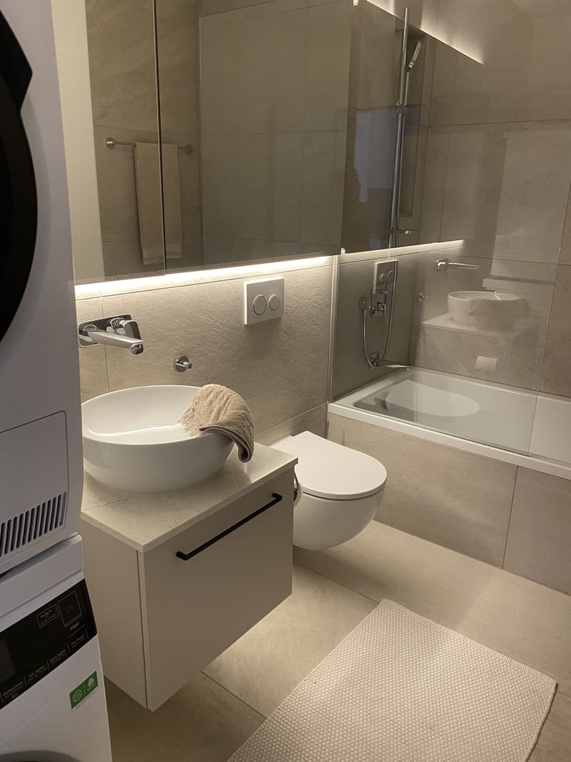 Bel appartement 3,5 pièces (6)