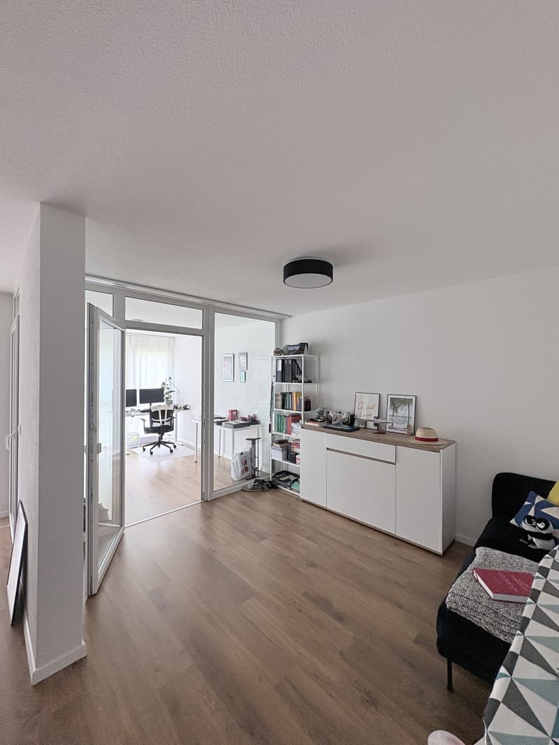 2 1/2 (+1) Zimmerwohnung (6)