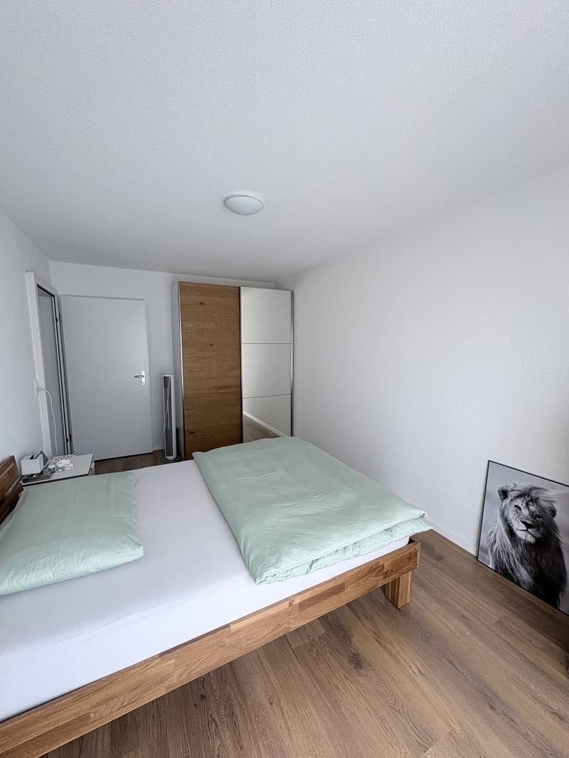 2 1/2 (+1) Zimmerwohnung (7)