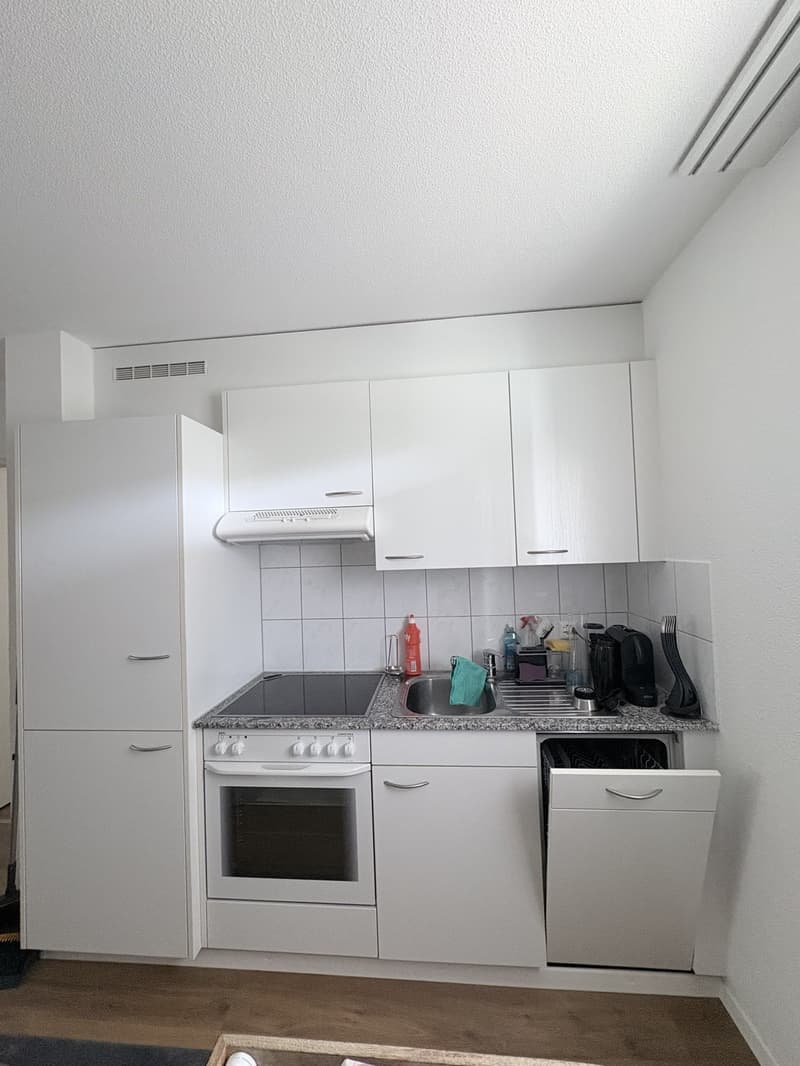 2 1/2 (+1) Zimmerwohnung (3)