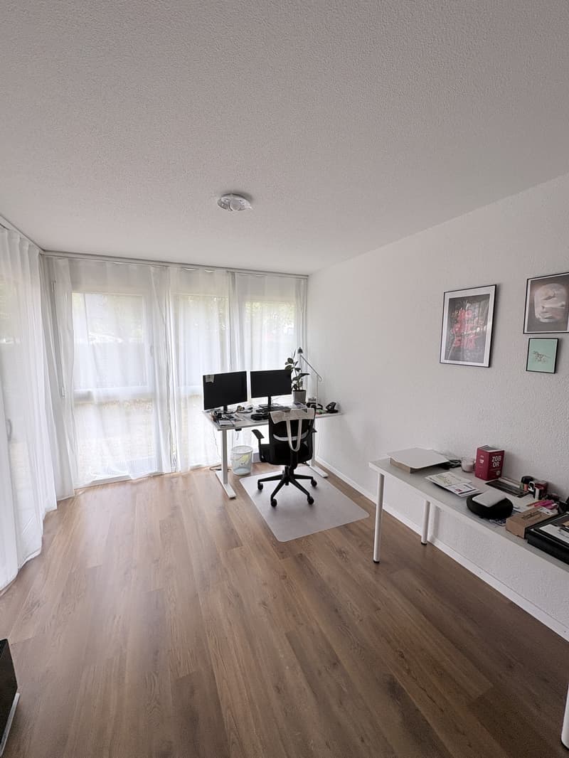 2 1/2 (+1) Zimmerwohnung (5)