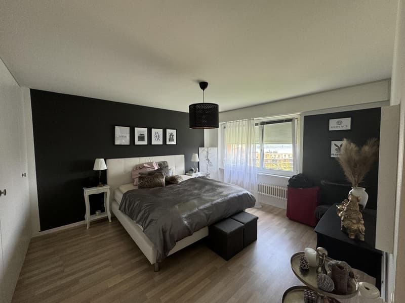 3 ½ Zimmer-Wohnung, 8820 Wädenswil (5)