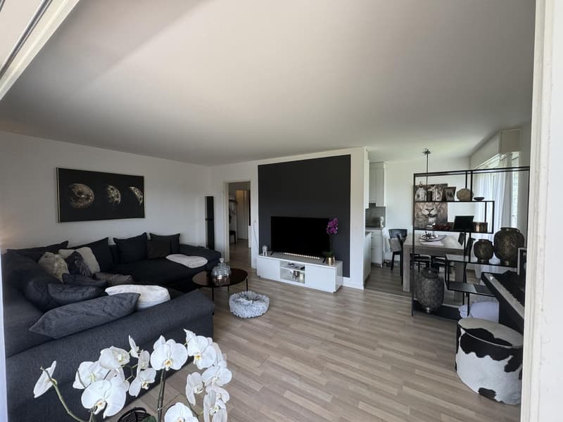 3 ½ Zimmer-Wohnung, 8820 Wädenswil (1)