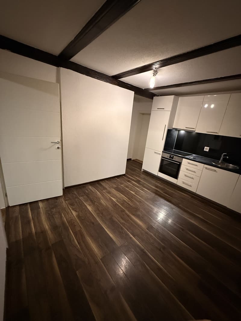 2 ½ rooms apartment, 3123 belp (3)