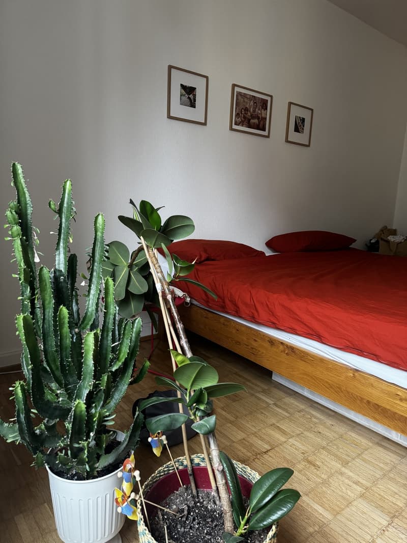 Cozy 2-room apartment in the heart of District 4, 6 months from August 2026 (2)