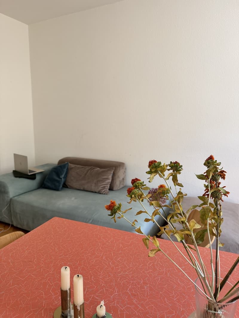 Cozy 2-room apartment in the heart of District 4, 6 months from August 2026 (6)
