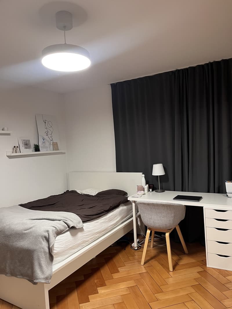 Bel appartement dans un immeuble ancien (9)