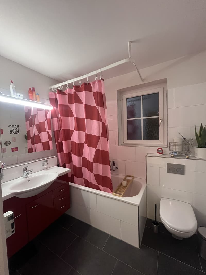 Bel appartement dans un immeuble ancien (5)
