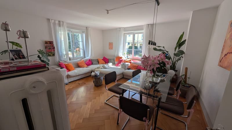 Bel appartement dans un immeuble ancien (1)