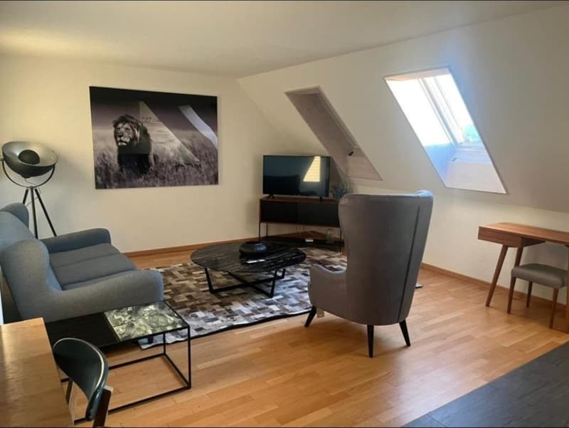 Bright 2-Room Apartment in Zürich (8004) Available from 1 October 2026 (3)