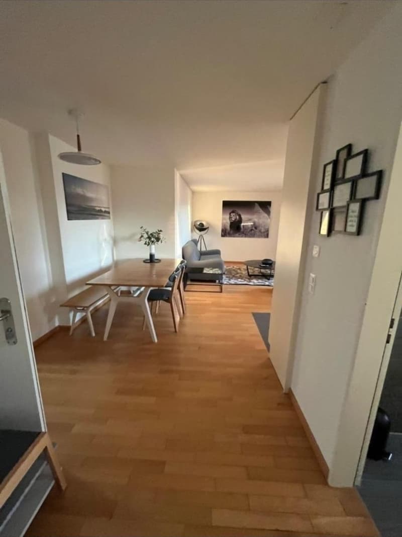 Bright 2-Room Apartment in Zürich (8004) Available from 1 October 2026 (5)