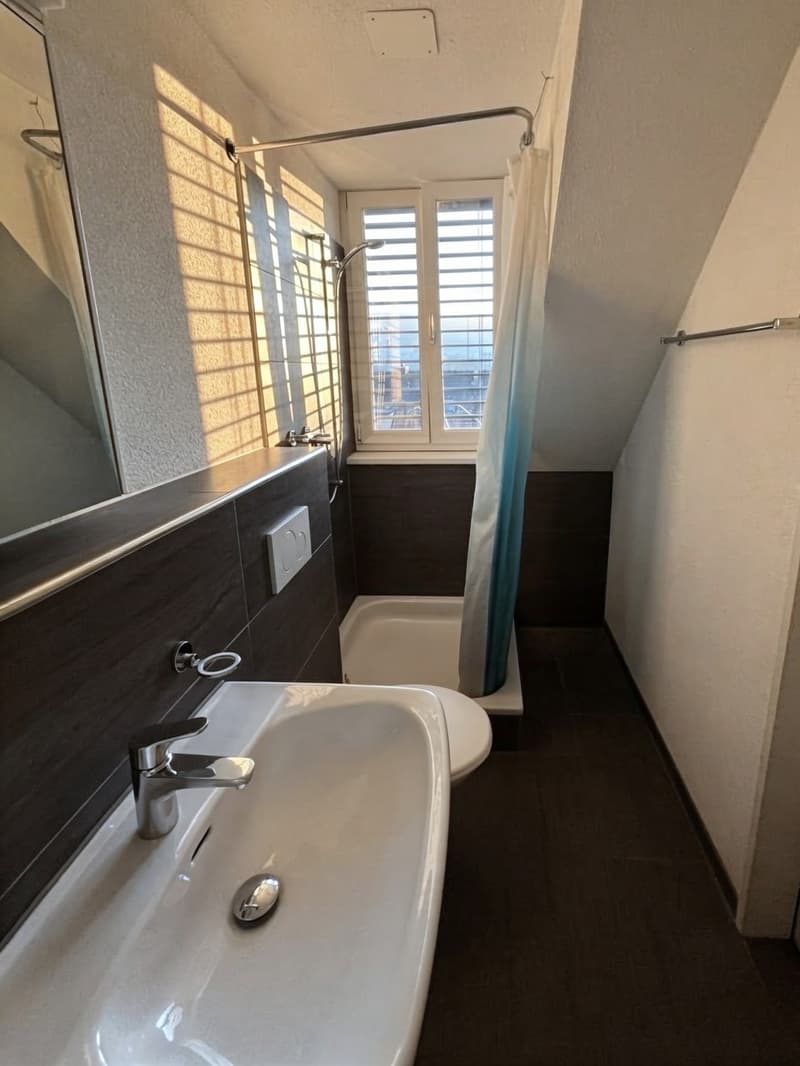 Bright 2-Room Apartment in Zürich (8004) Available from 1 October 2026 (6)