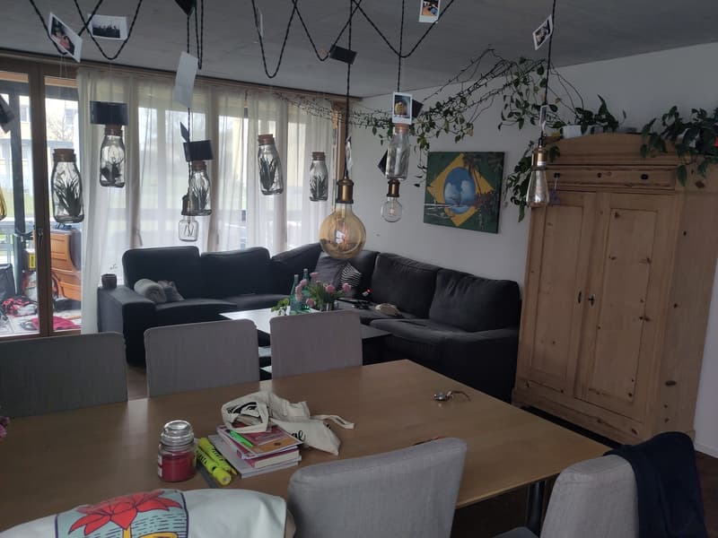 Modern 2.5-room terrace apartment in Pfäffikon ZH (9)