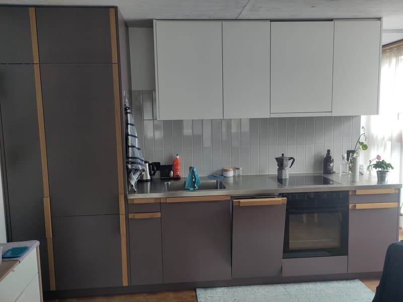 Modern 2.5-room terrace apartment in Pfäffikon ZH (6)