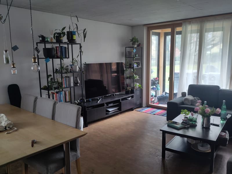 Modern 2.5-room terrace apartment in Pfäffikon ZH (7)