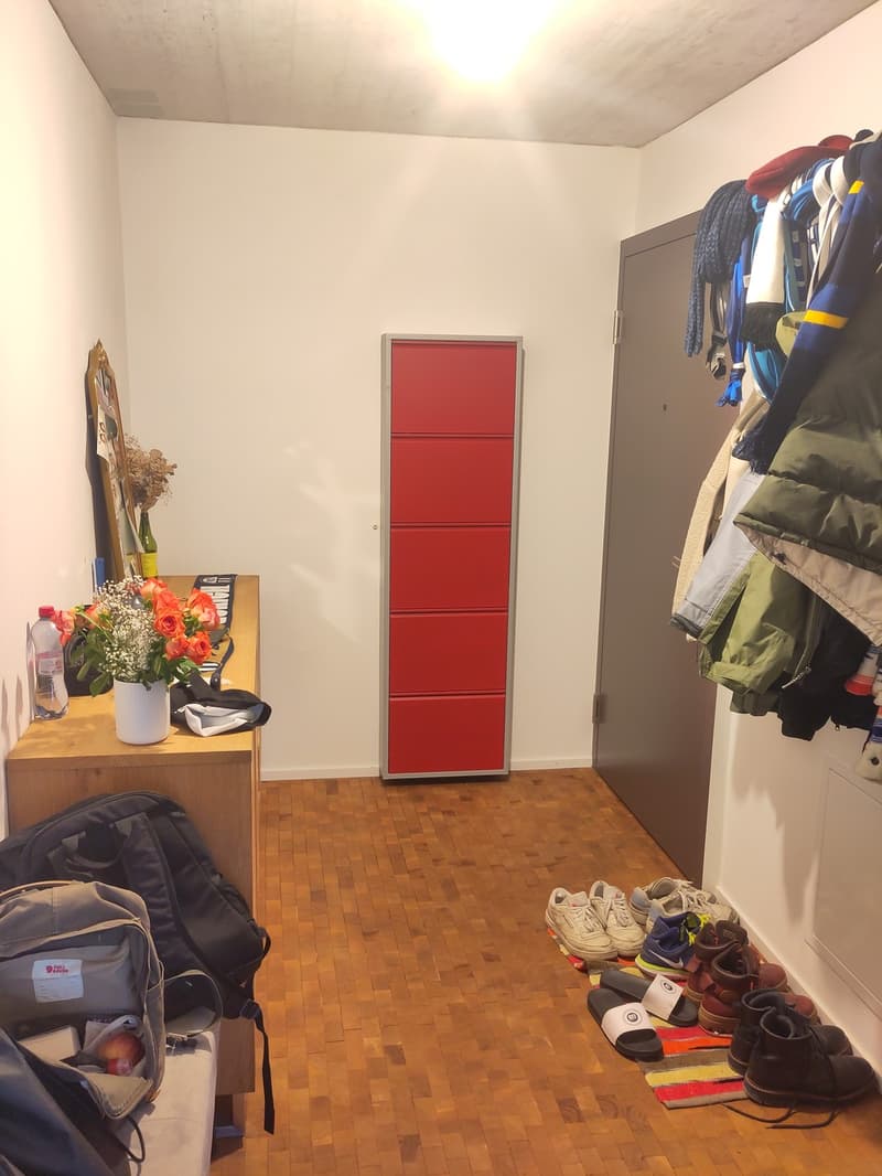 Modern 2.5-room terrace apartment in Pfäffikon ZH (10)