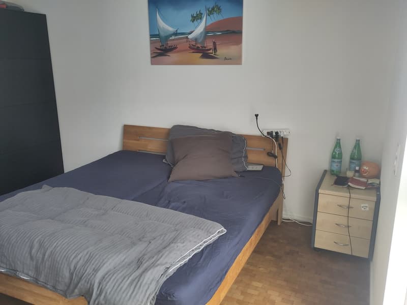Modern 2.5-room terrace apartment in Pfäffikon ZH (3)
