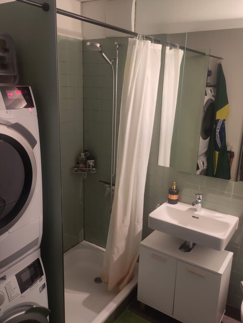 Modern 2.5-room terrace apartment in Pfäffikon ZH (8)