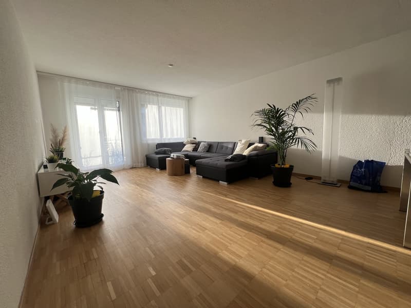Appartamento luminoso 3.5 locali a Zürich-Höngg, situato in una zona tranquilla e perfettamente collegato (1)