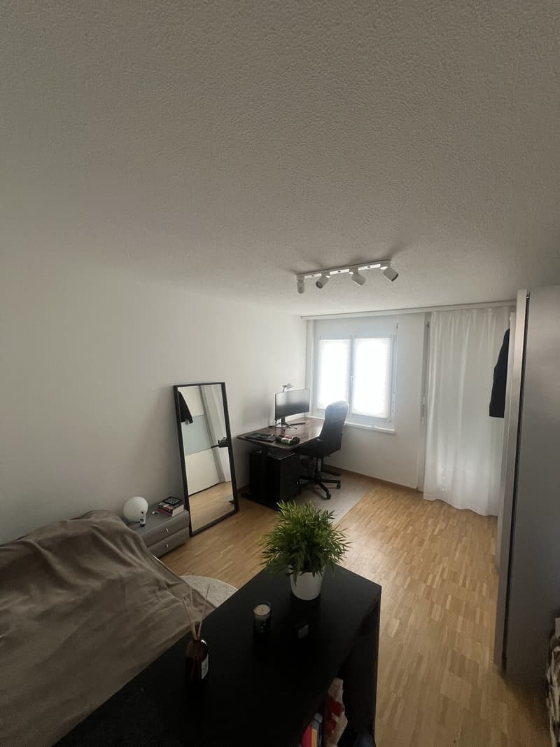 Appartamento luminoso 3.5 locali a Zürich-Höngg, situato in una zona tranquilla e perfettamente collegato (6)