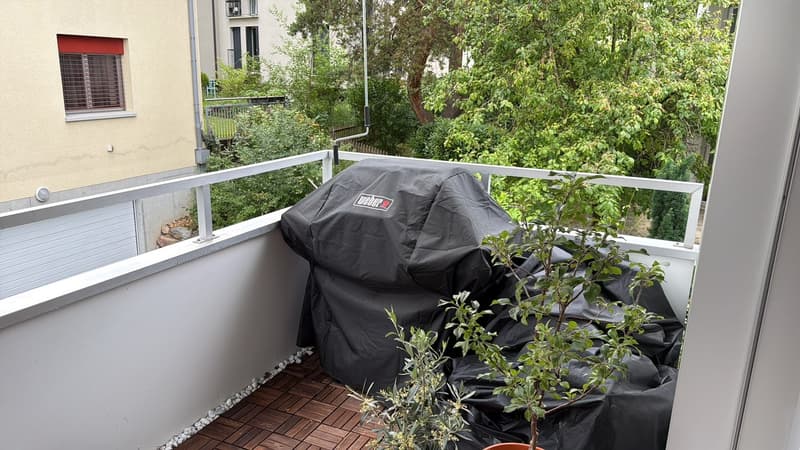 Beautiful, quiet, 3.5 room apartment (9)