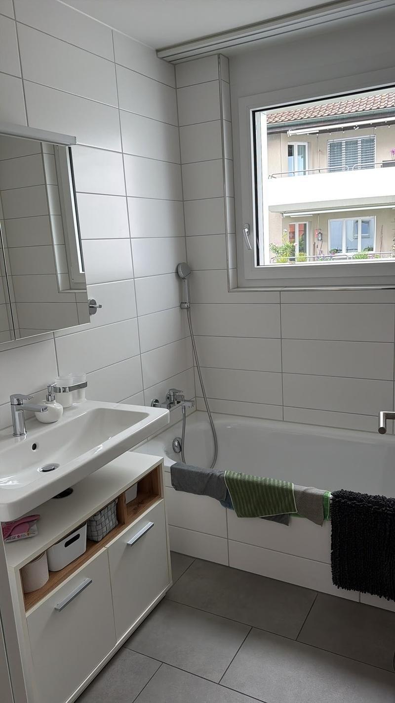 Beautiful, quiet, 3.5 room apartment (4)