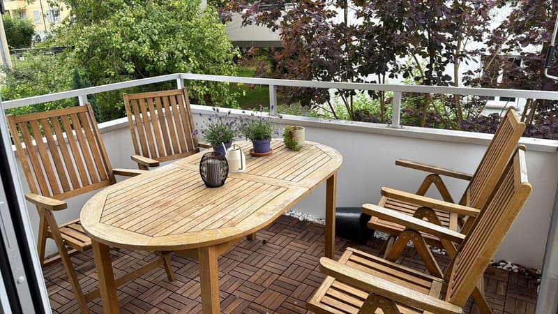 Beautiful, quiet, 3.5 room apartment (10)