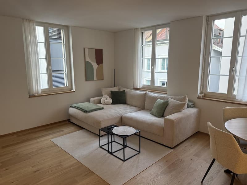 Charming 3.5-room old town apartment (1)