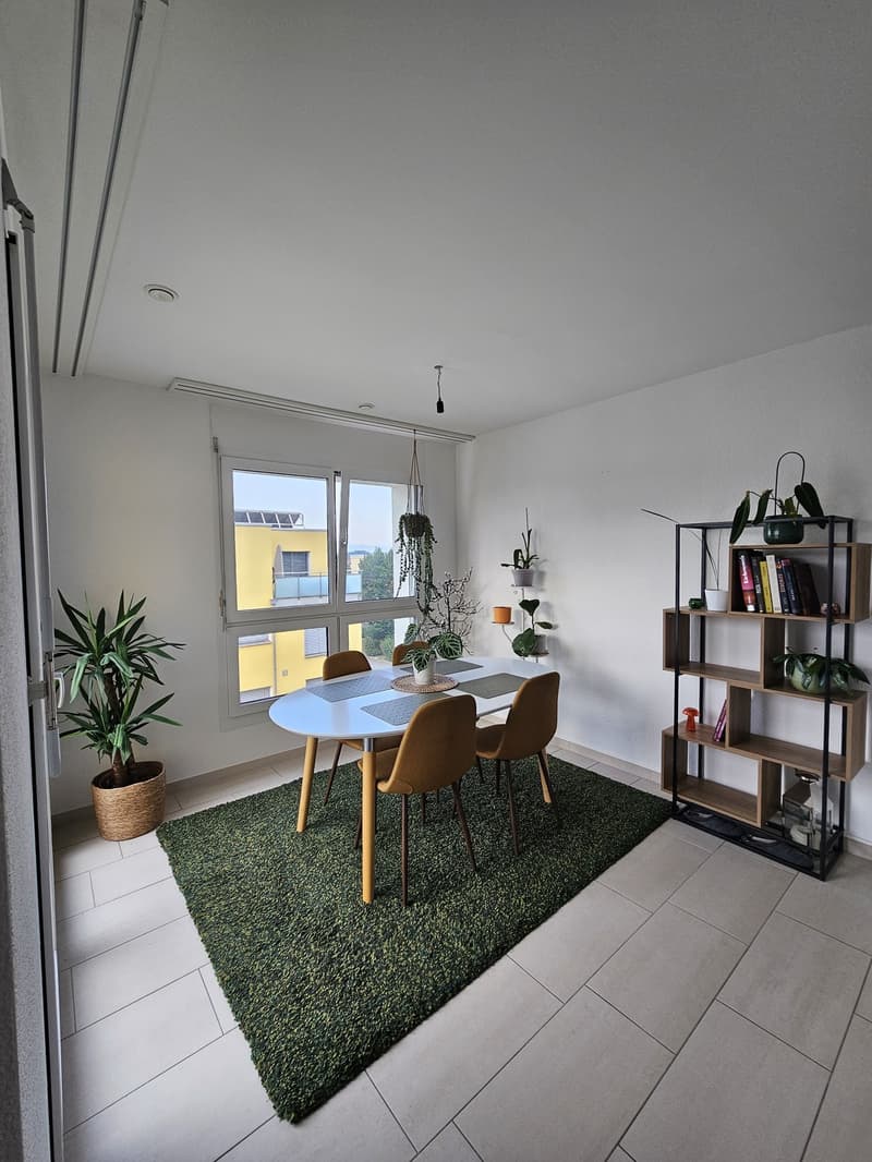 3,5-Zimmer Attikawohnung mit 2 Bädern und Balkonen (2)
